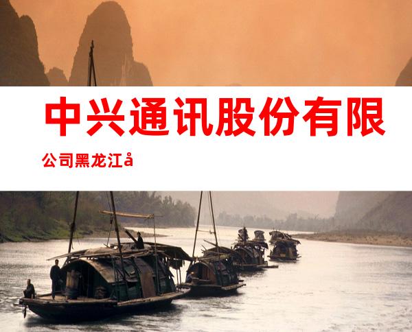 中兴通讯股份有限公司黑龙江分公司